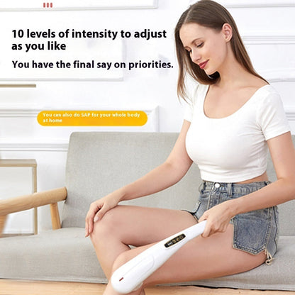 Electric Dolphin Massage Stick
